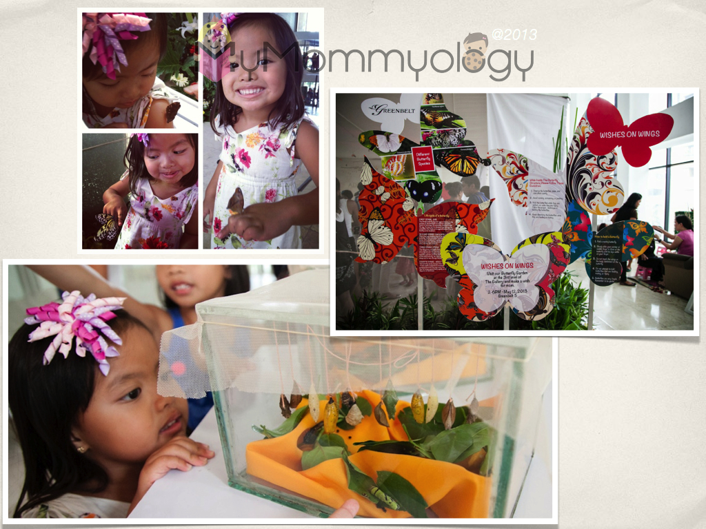 Sam and the Butterflies! (right and bottom photo by Tammy David)