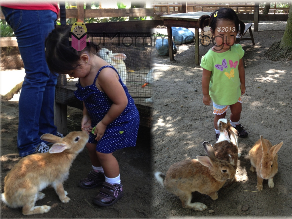 At the Farm, Sta. Elena. Could the real rabbits smell her love for bunnies?
